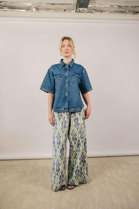 Madhu Ikat #2